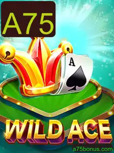 WildAce: Mergulhe na Aventura com o Jogo do Momento
