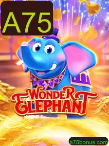 Explorando o Fascinante Mundo de WonderElephant: Regras e Introdução ao Jogo